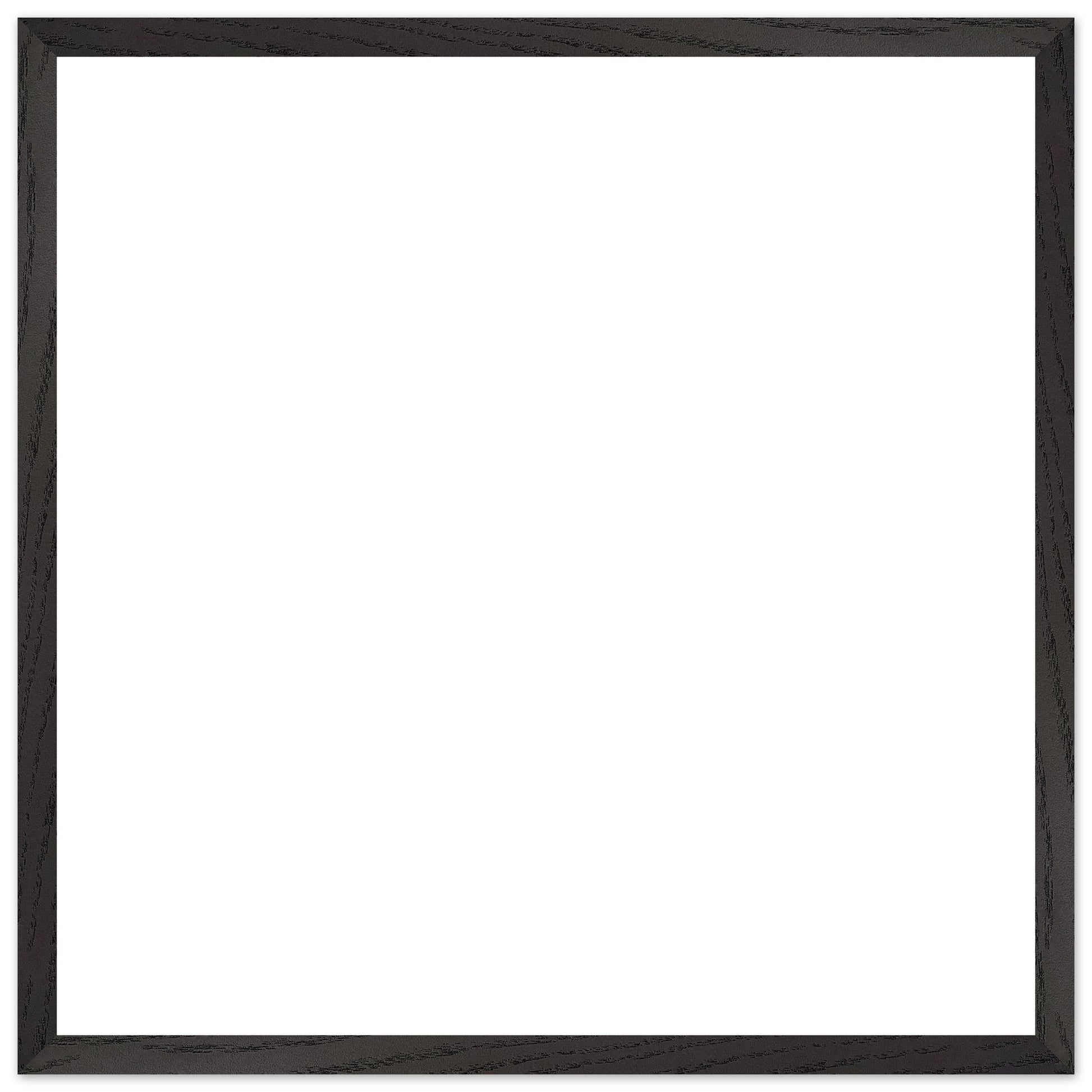 52a2c966-667f-486a-ac72-e082e09e55c5